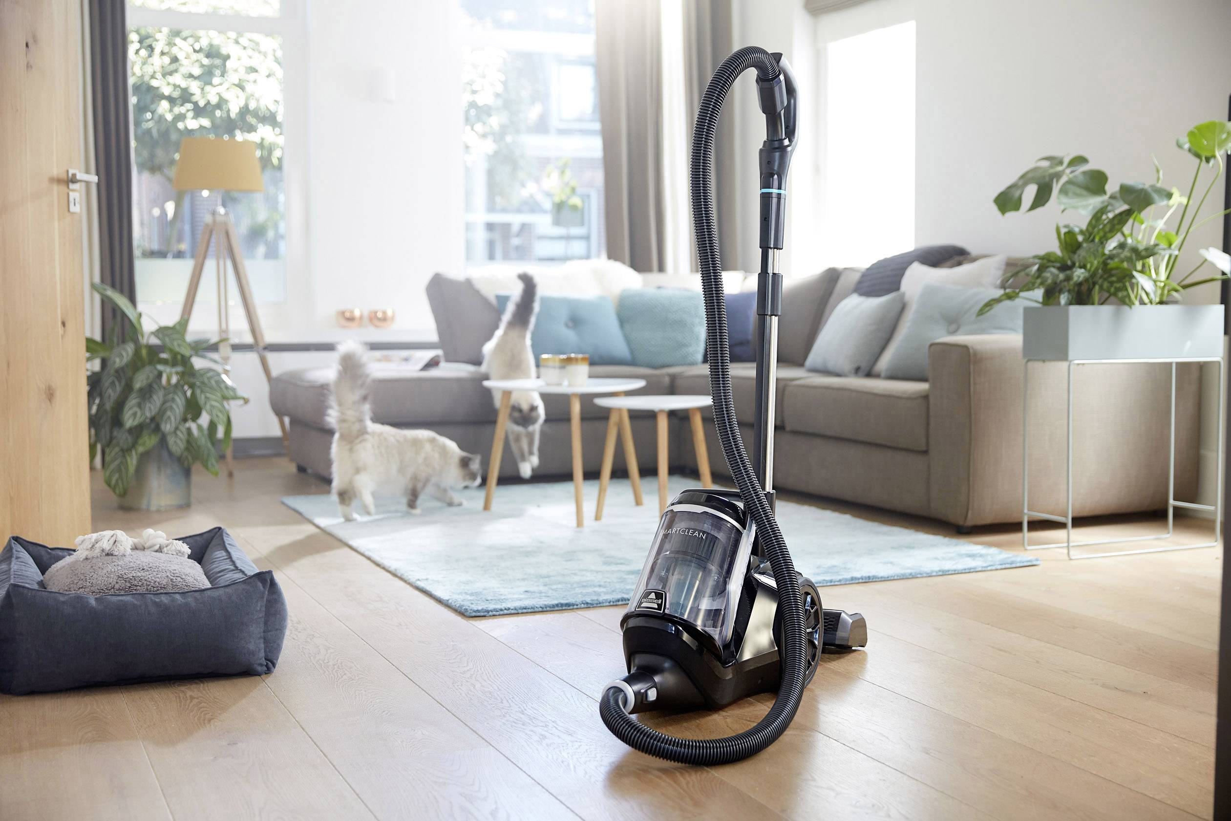 Bissell Smart Clean Pet 2228N Trockensauger 3 l