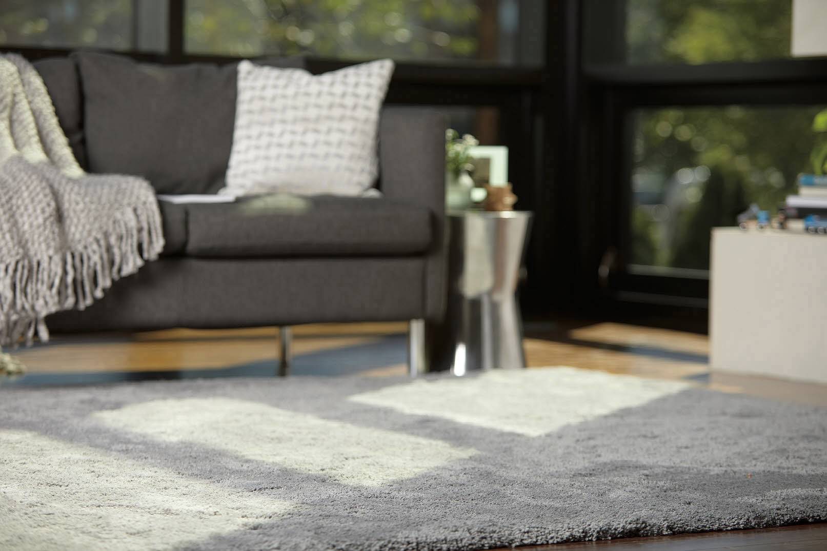 Bissell Smart Clean Pet 2228N Trockensauger 3 l