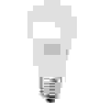 LEDVANCE Smart+ LED-Leuchtmittel (einzeln) E27 10W EEK: F (A - G) Weiß