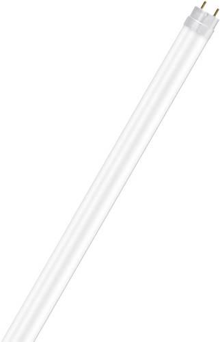 OSRAM LED EEK A++ (A++ - E) G13 Stabform 21W Kaltweiß (Ø x L) 26.7mm x 1513.0mm 1St.