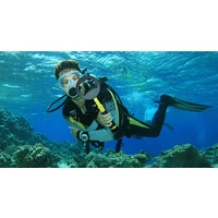 Nokta Makro Pulse Dive Yellow Handdetektor akustisch, Vibration pulsediveYE Nokta Makro Pulse Dive Yellow Handdetektor akustisch, Vibration pulsediveYE