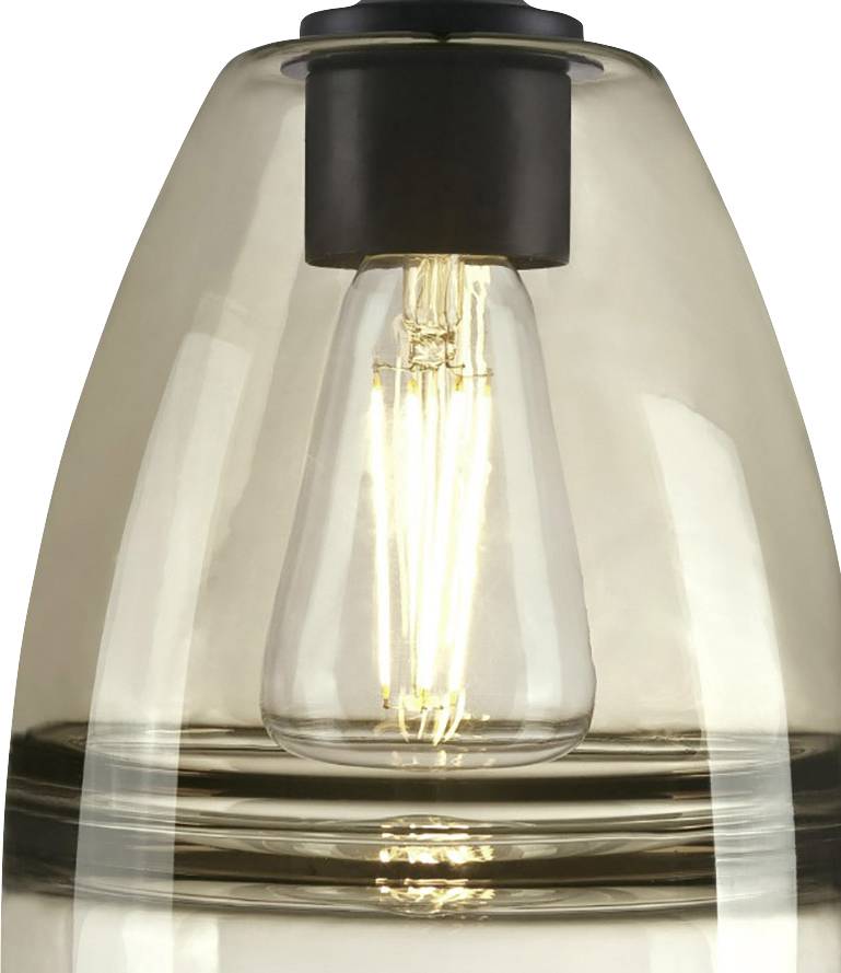 Westinghouse Ash 63664 Pendelleuchte E27 Schwarz (matt)