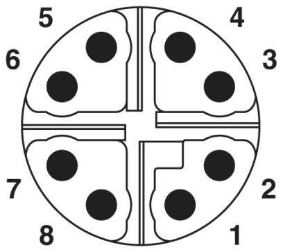 Diagramm einer Pizza mit acht nummerierten Stücken, von 1 bis 8, jeweils mit einer schwarzen Olive belegt.