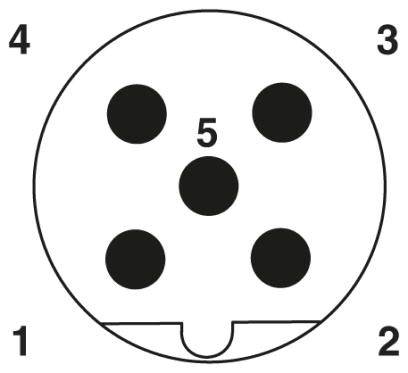 Ein kreisförmiger Stecker mit fünf schwarzen Punkten, nummeriert von 1 bis 5, in einem runden Gehäuse mit Einkerbung unten.
