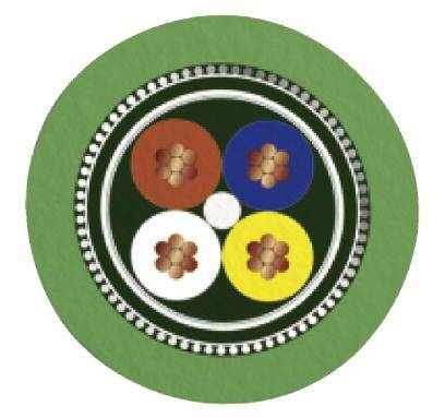 Kreisförmiges Emblem mit vier Blumenmotiven in Rot, Blau, Weiß und Gelb, umgeben von einem grünen Rand.