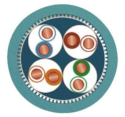 Vier runde Zellen mit roten und grünen Kernen, umgeben von einem blauen Ring. Grafische Darstellung biologischer Zellen.
