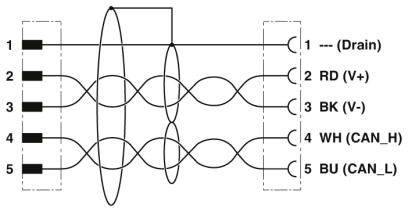 Diagramm eines Fünf-Pin-Steckverbinders mit Verdrahtungsbelegung: Drain, RD (V+), BK (V-), WH (CAN_H), BU (CAN_L). Linie zeigt Pinbelegung.