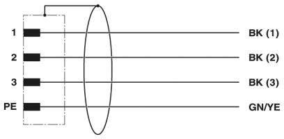 Stromanschlussdiagramm mit drei schwarzen Leitern, nummeriert 1 bis 3, und einem grün-gelben Erdungskabel, beschriftet als PE.