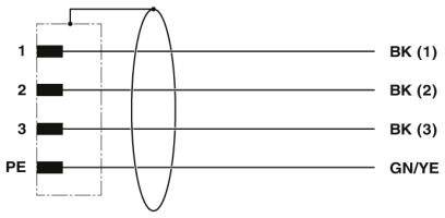 Diagramm zeigt elektrische Verkabelung: Drei schwarze Leitungen BK (1), BK (2), BK (3) und gelb-grüne Leitung GN/YE verbunden an PE.