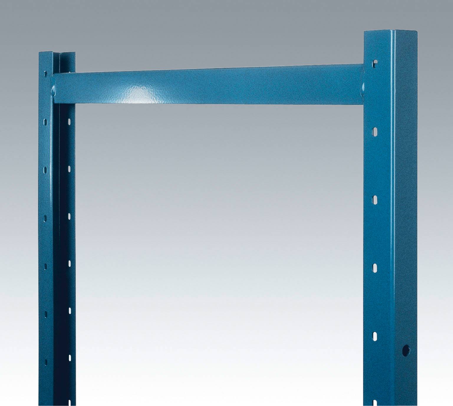 Manuflex RA3102.6011 Regalrahmen (B x H x T) 30 x 2250 x 300mm