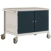 Manuflex TP1028.7016 Mobile Werkbank Modell 5 mit lichtgrauer Melamin-Abdeckplatte 22mm BxTxH 1135 x 590 x 802mm Manuflex TP1028.7016 Mobile Werkbank Modell 5 mit lichtgrauer Melamin-Abdeckplatte 22mm BxTxH 1135 x 590 x 802mm