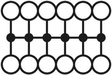Eine grafische Darstellung eines Gitternetzwerks aus miteinander verbundenen Kreisen, die zwei parallele Reihen bilden.