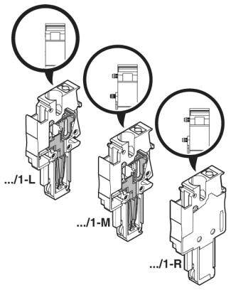 Drei elektrische Anschlussklemmen in unterschiedlichen Ausführungen: .../1-L, .../1-M, und .../1-R. Jede mit gezeichnetem Detail.