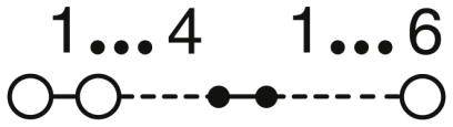 Chemisches Strukturdiagramm mit zwei Kreisen und dazwischen gefüllten und leeren Kreisen. Oben steht '1...4 1...6'.
