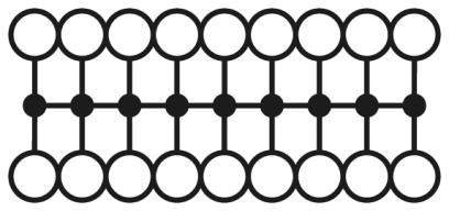 Diagramm zeigt zwei Reihen verbundener Kreise, die durch horizontale und vertikale Linien verbunden sind.