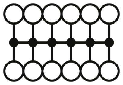 Ein Diagramm mit zwei Reihen und sechs identischen Ringen. Oben und unten sind sie durch vertikale Linien verbunden. In der Mitte sind schwarze Punkte.