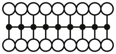 Schema einer Zickzackleiter mit abwechselnden kreisförmigen Knoten in zwei Reihen, verbunden durch horizontale und diagonale Linien.