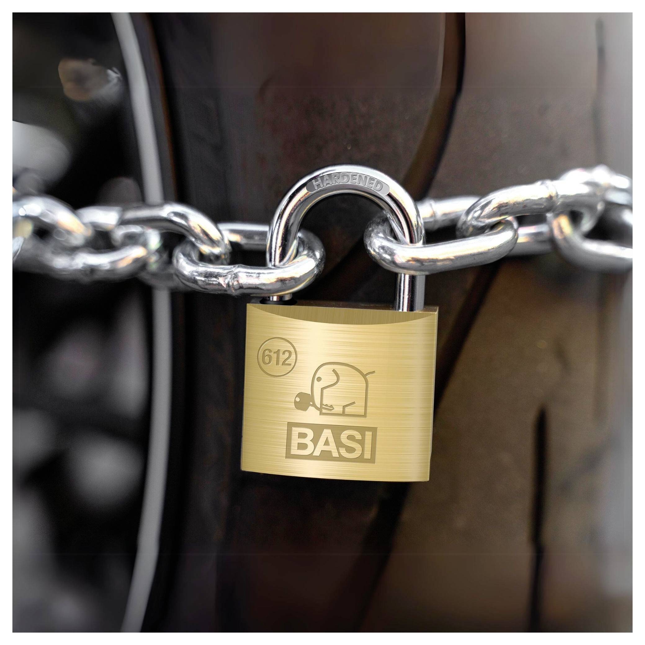 Basi 6120-2501-2505 Vorhängeschloss gleichschließend