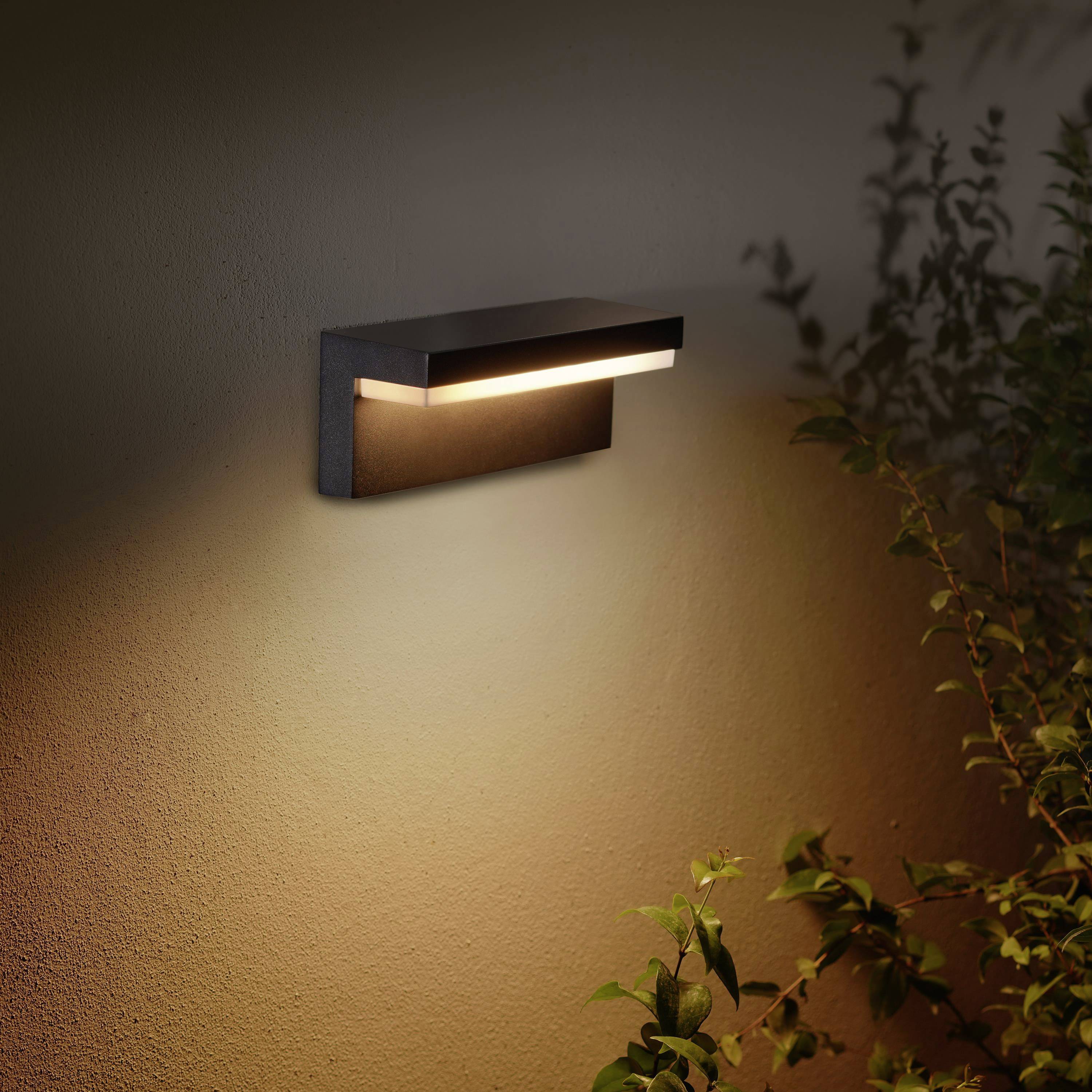Außenleuchte an einer Wand, die warmes Licht abstrahlt, mit Pflanzen im Vordergrund. Beleuchtet einen Außenbereich in der Dämmerung.