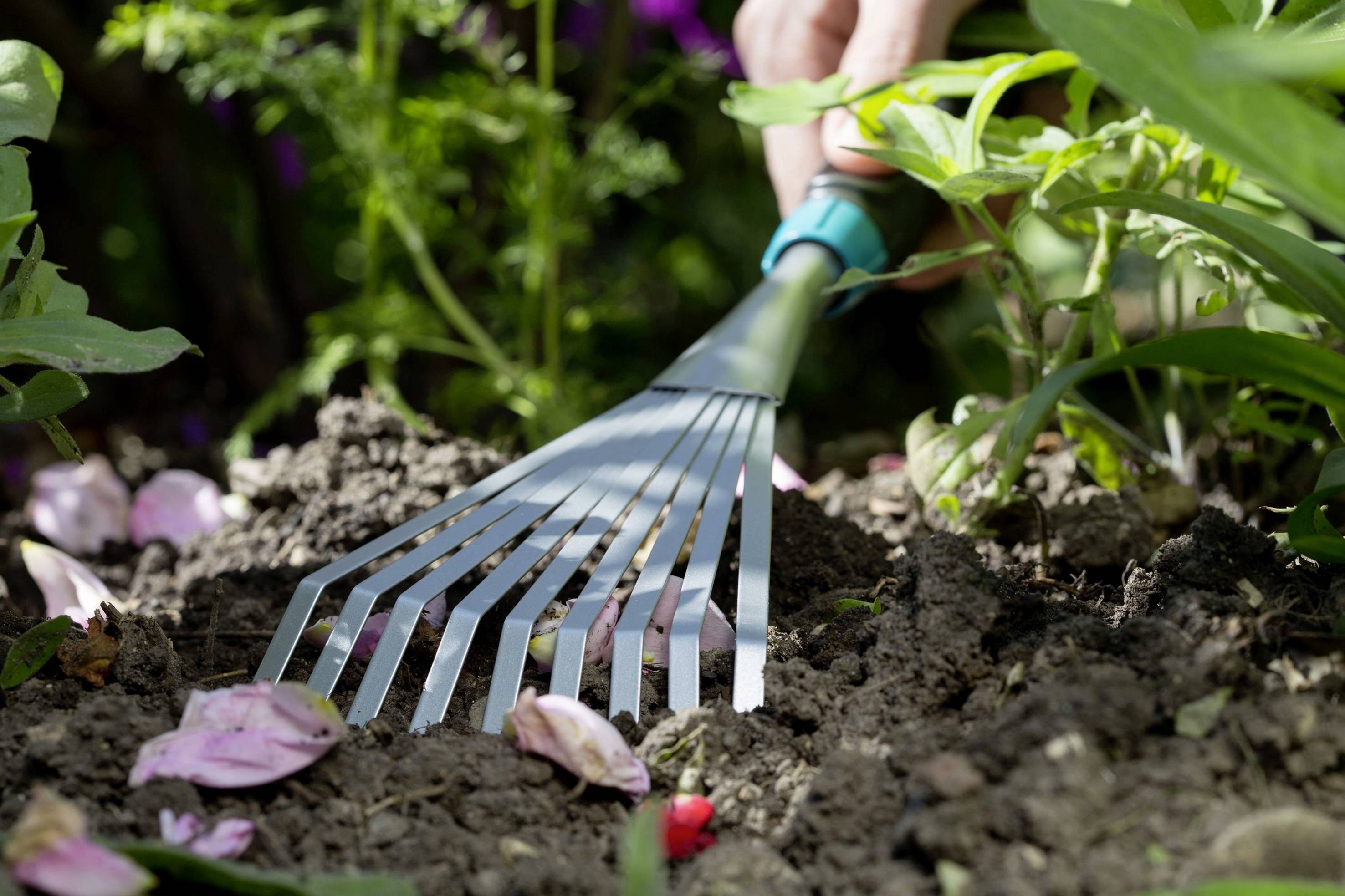 Elettrodomestici Coop, Piccoli Ma... Forti - Foto 9