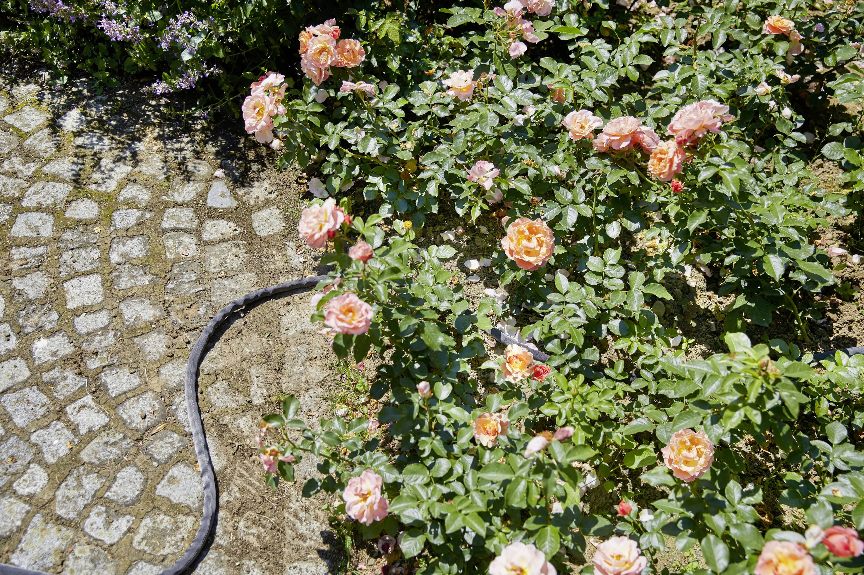 GARDENA LIANO 18438-20 13mm 1/2 Zoll 1 St. Anthrazit/Schwarz Gewebeschlauch