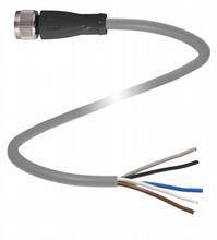 Graues Kabel mit fünf freiliegenden Kupferdrähten in verschiedenen Farben an einem Ende und einem Stecker am anderen.