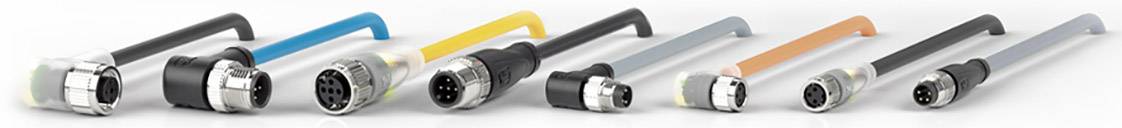 Mehrere M12-Steckverbinder in verschiedenen Farben liegen nebeneinander aufgereiht. Sie sind für industrielle Einsätze geeignet.