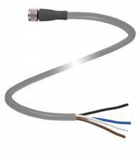 Graues elektrisches Kabel mit freiliegenden Drähten in verschiedenen Farben am einen Ende und einem Stecker am anderen Ende.