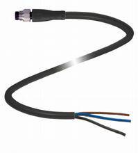 Schwarzes elektrisches Kabel mit Stecker an einem Ende und drei freigelegten Drähten in den Farben Schwarz, Blau und Braun am anderen Ende.