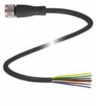 Ein schwarzes Kabel mit einem Stecker am einen Ende und mehreren farbigen Drähten am anderen Ende.