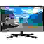 Reflexion LED-TV 18.5 Zoll EEK F (A - G) CI+, DVB-C, DVB-S2, DVB-T2 HD, PVR ready Schwarz (glänzend
