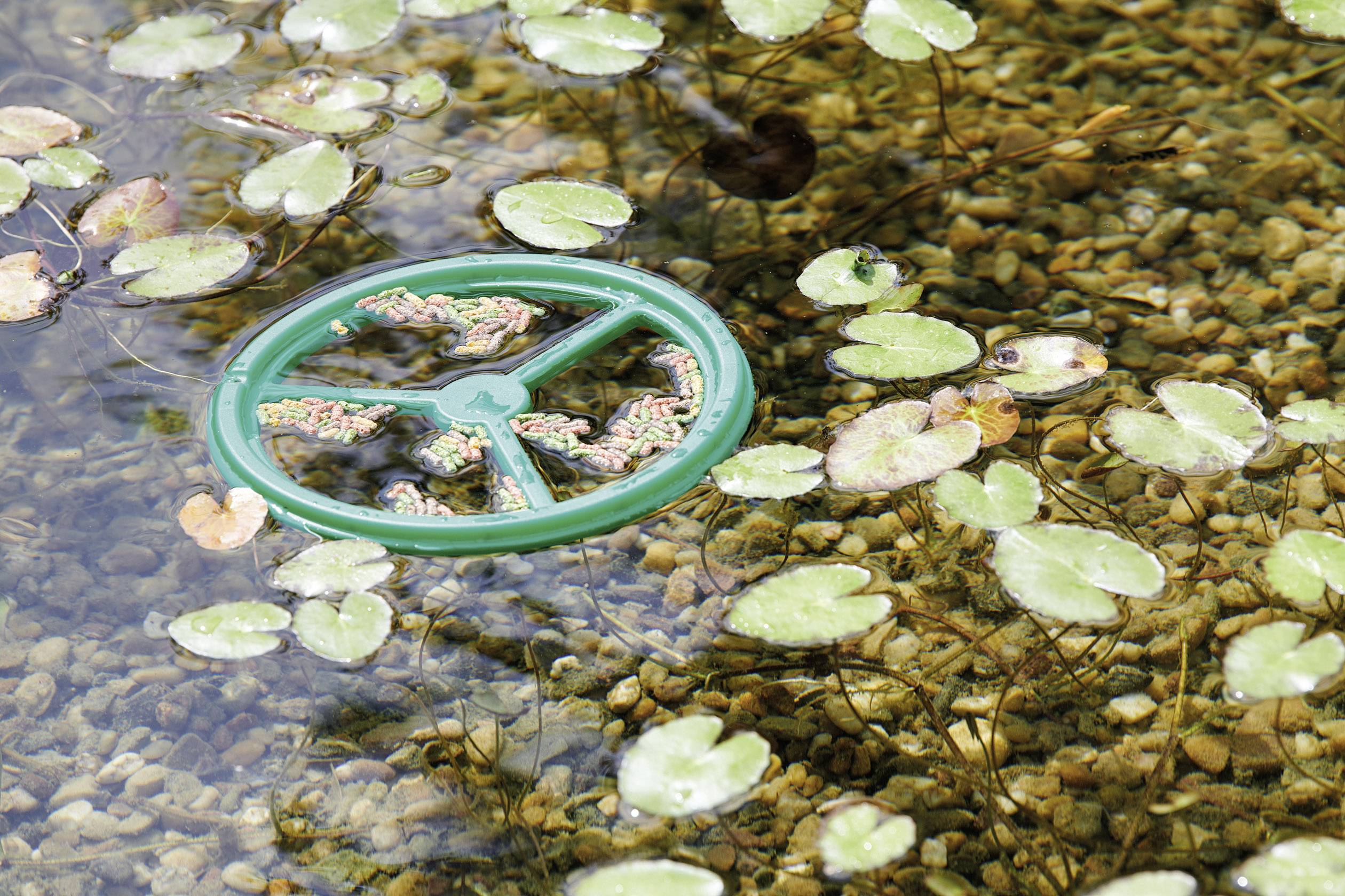 Pontec 73351 Fischfutterring