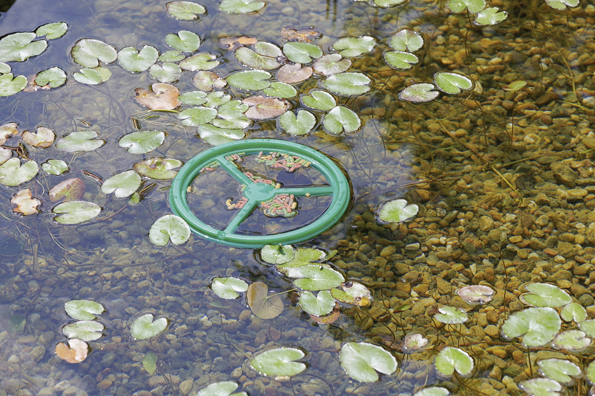 Pontec 73351 Fischfutterring