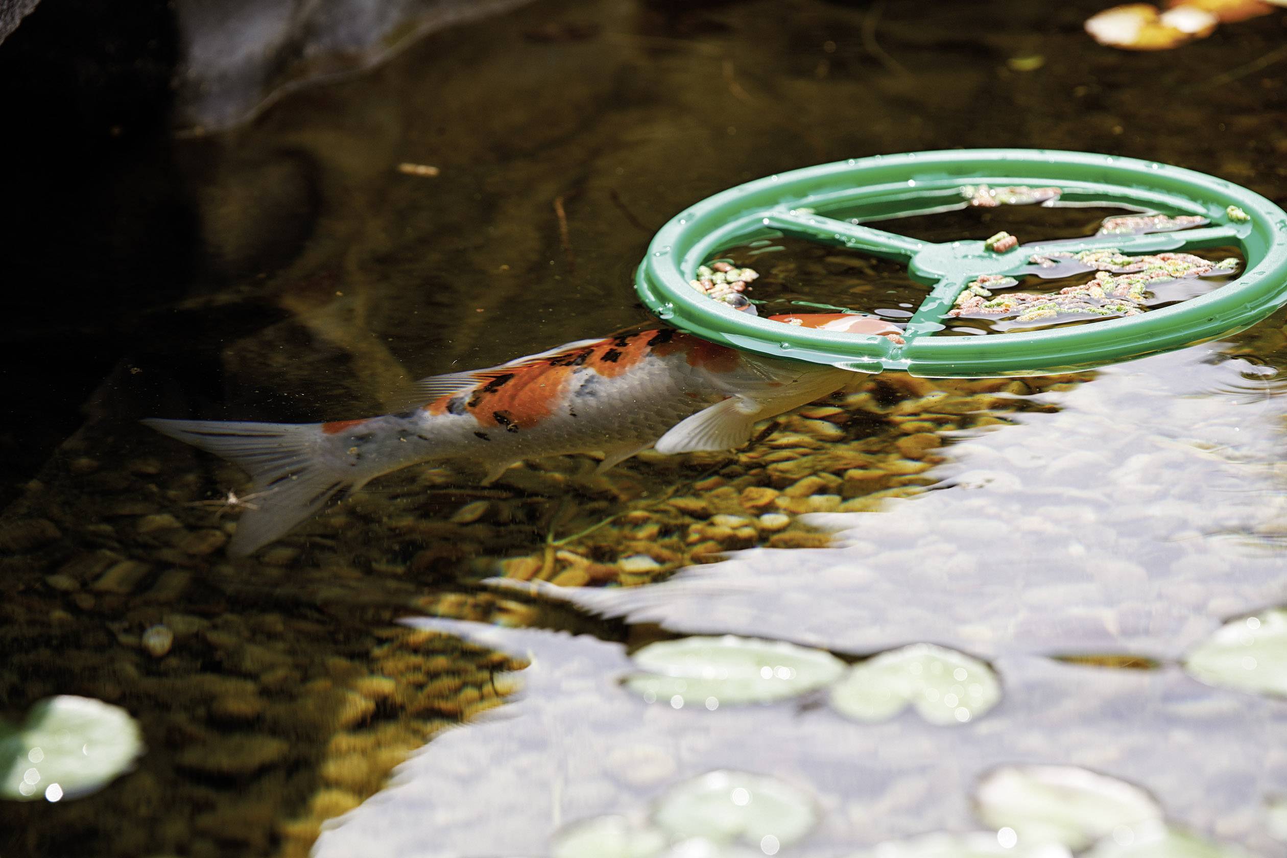 Pontec 73351 Fischfutterring