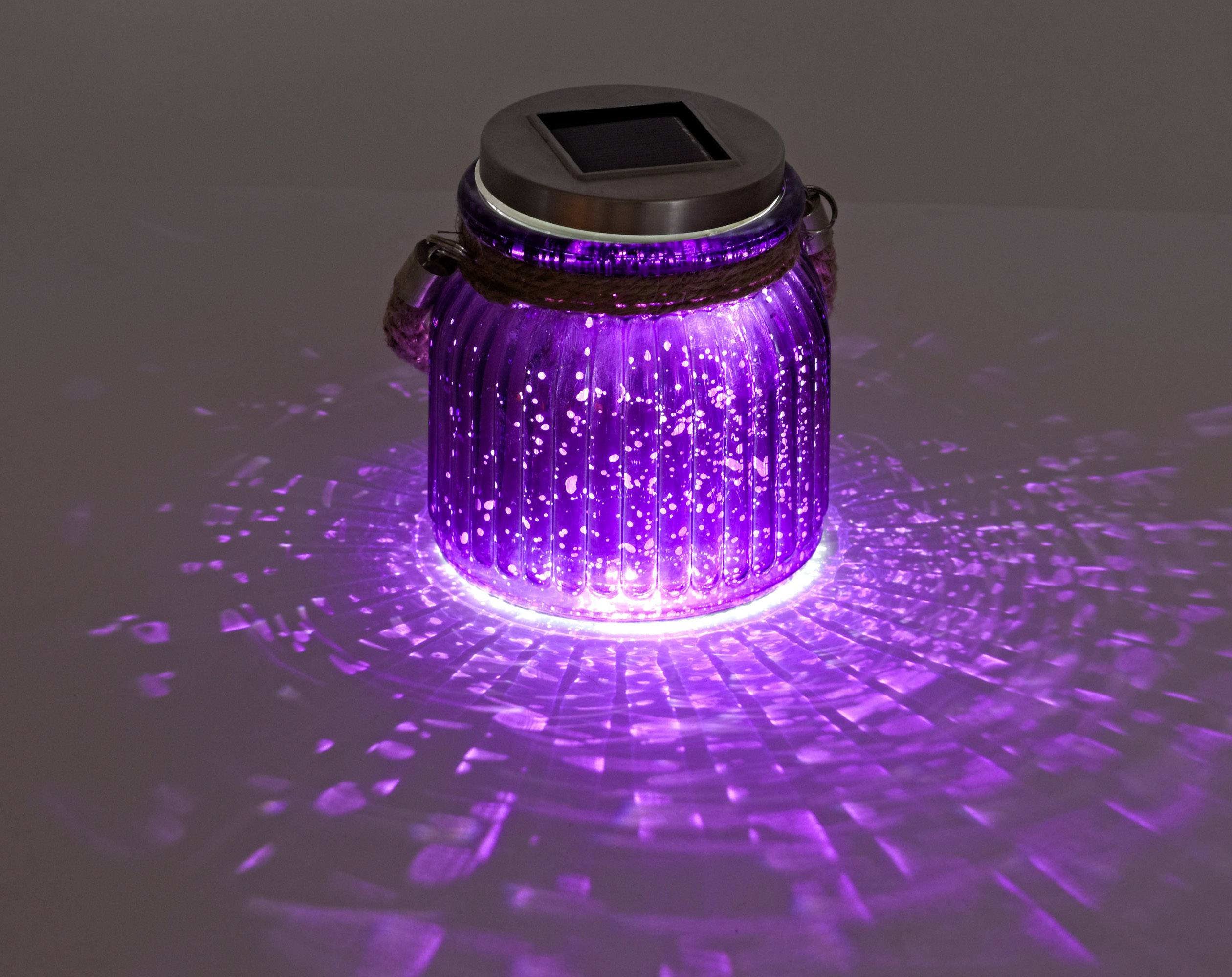 LeuchtenDirekt 19881-86 SOLAR LED-Gartenleuchte LED Violett