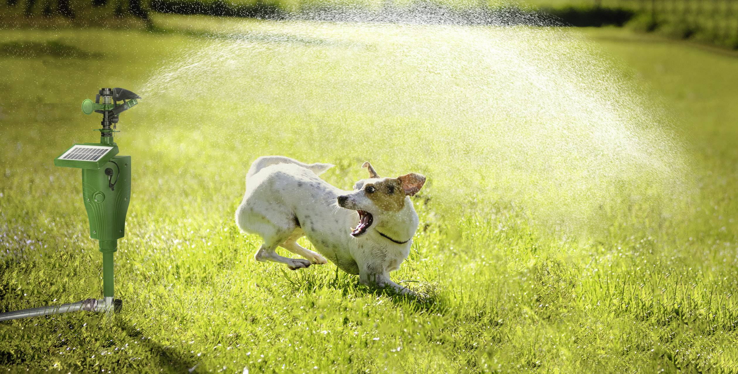 Gardigo Activated Sprinkler Schädlingsvertreiber Funktionsart Wasserstrahl Wirkungsbereich 60m² 1St.