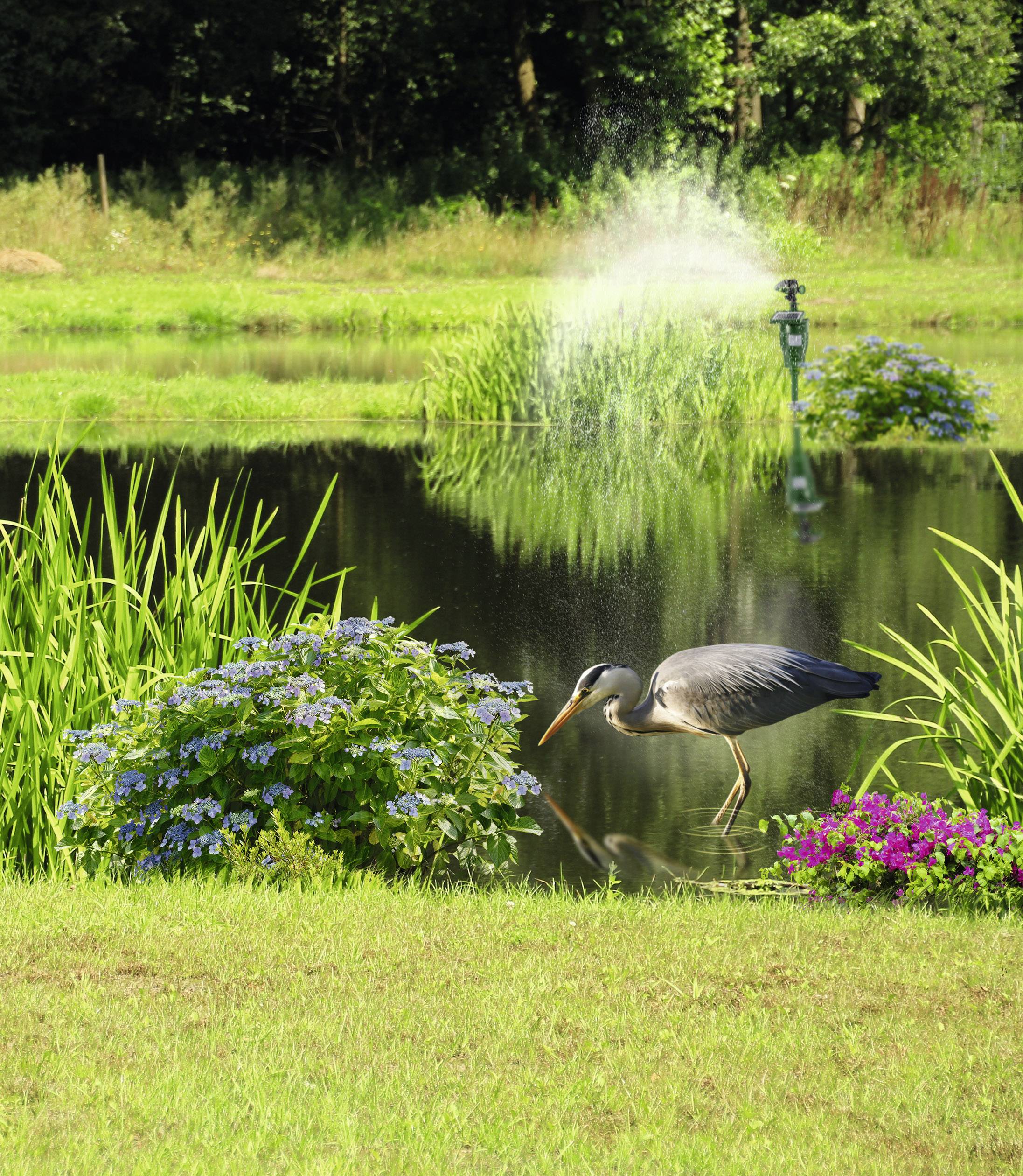 Gardigo Activated Sprinkler Schädlingsvertreiber Funktionsart Wasserstrahl Wirkungsbereich 60m² 1St.