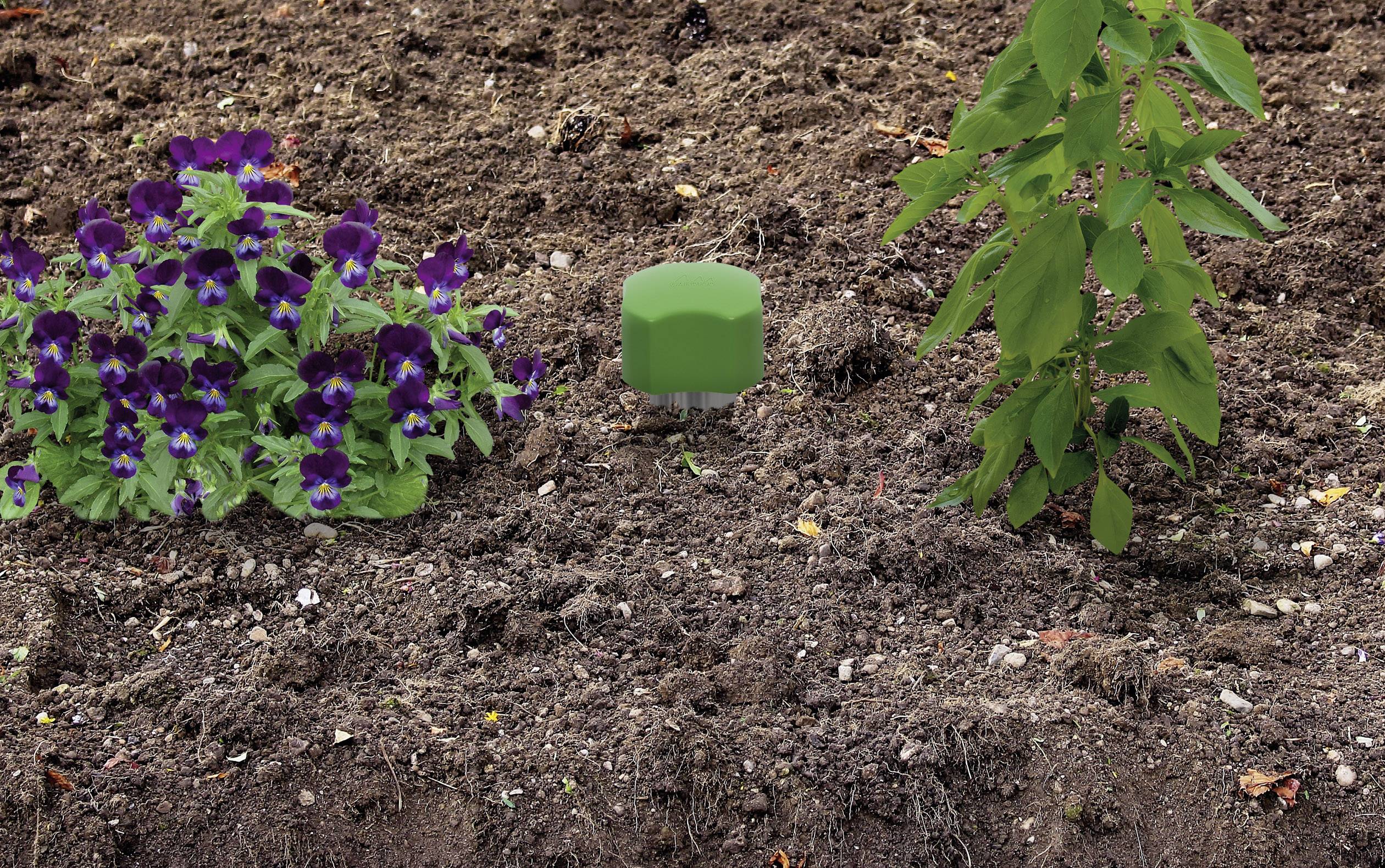 Gardigo Chaser Mini Wühlmausvertreiber Funktionsart Vibration Wirkungsbereich 700m² 1St.