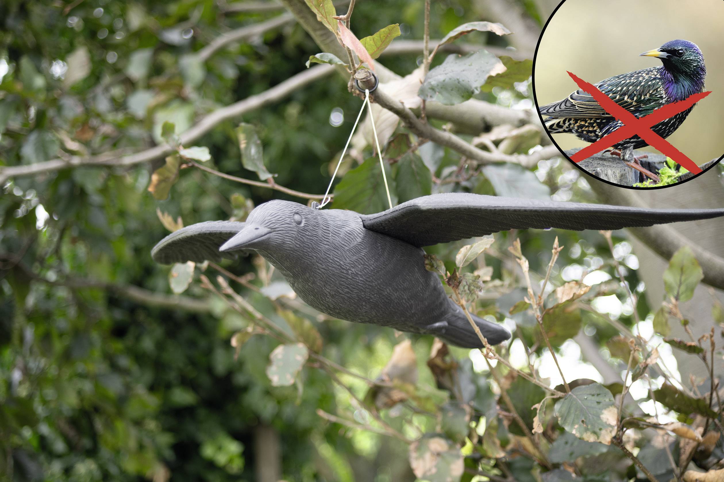 Gardigo Falcon Vogelvertreiber Funktionsart Abschreckung 1St.