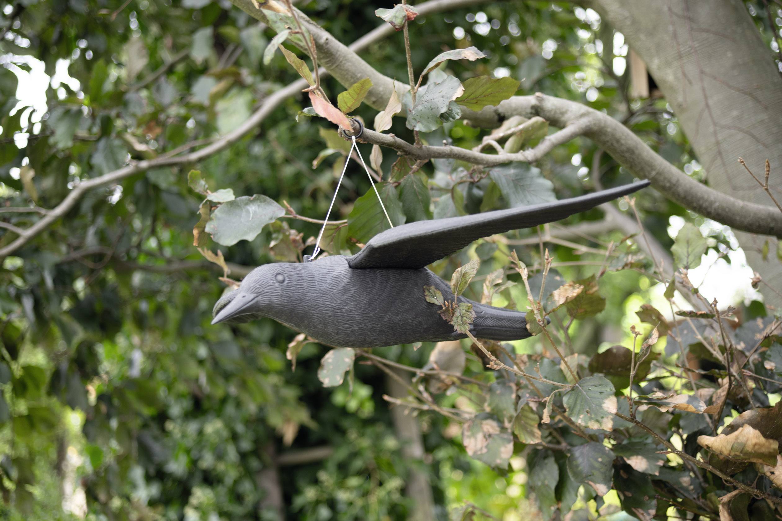 Gardigo Falcon Vogelvertreiber Funktionsart Abschreckung 1St.