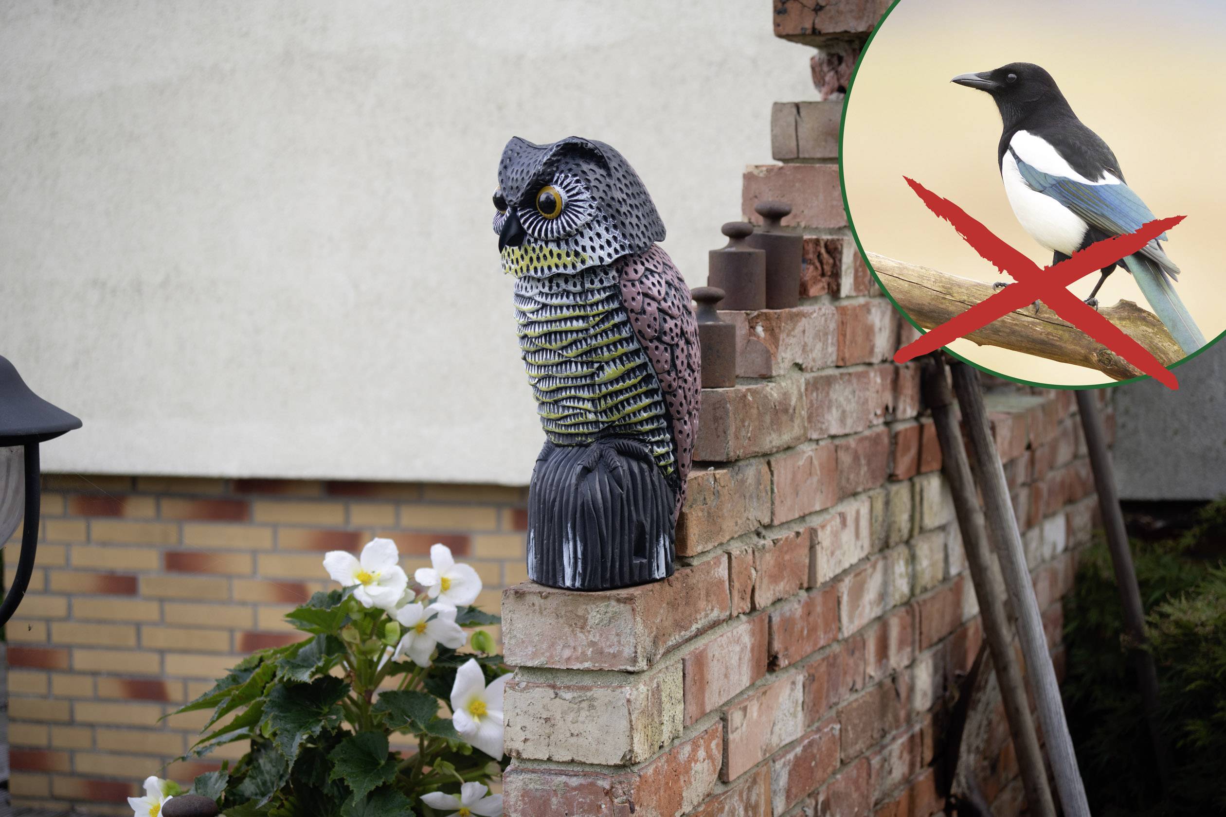 Gardigo Eule Vogelvertreiber Funktionsart Abschreckung 1 St.