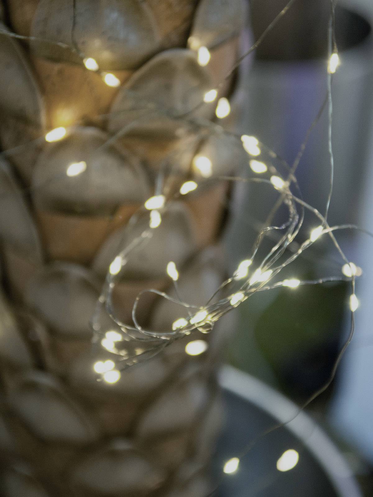 Eurolite 50499260 Büschellichterkette Innen/Außen netzbetrieben Anzahl Leuchtmittel 500 LED Warmweiß Beleuchtete Länge: 5 m