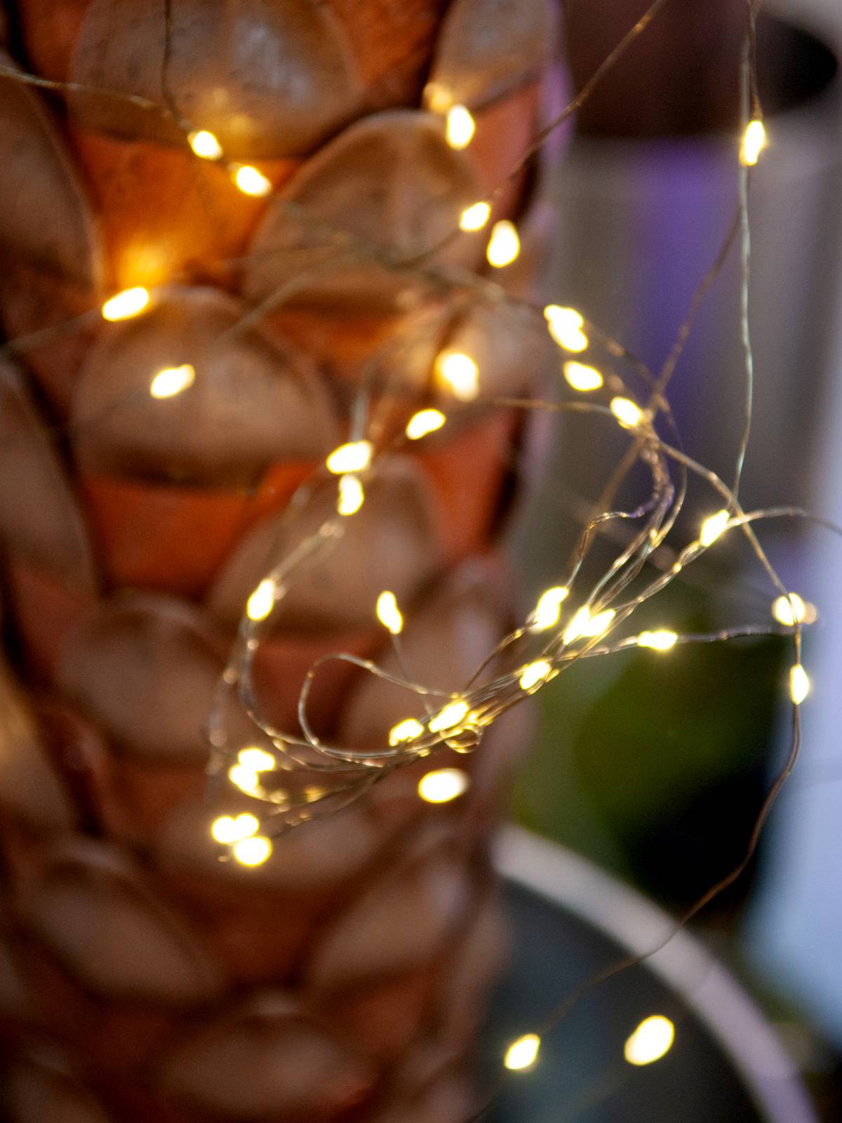 Eurolite 50499260 Büschellichterkette Innen/Außen netzbetrieben Anzahl Leuchtmittel 500 LED Warmweiß Beleuchtete Länge: 5 m