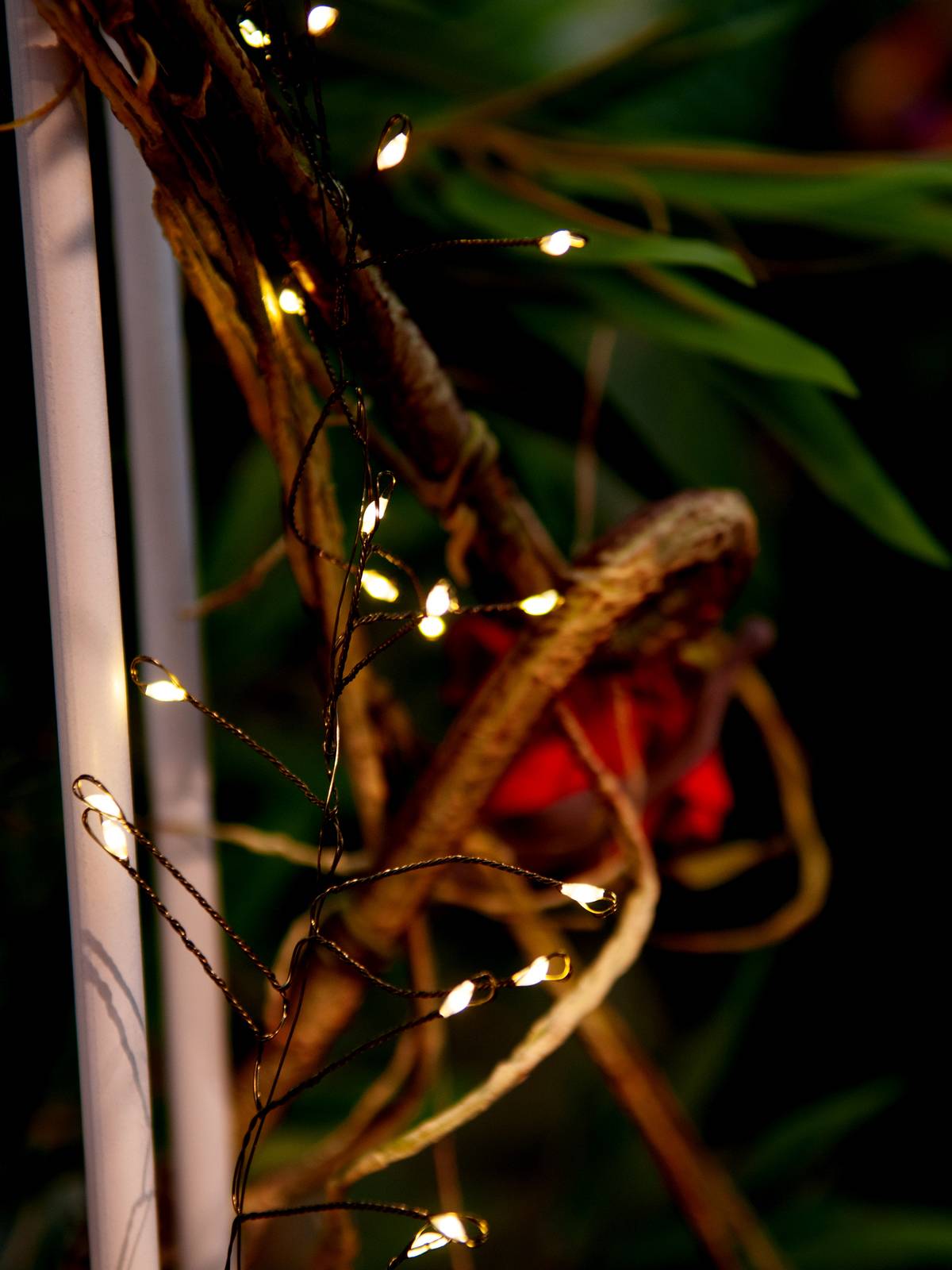 Eurolite 50499260 Büschellichterkette Innen/Außen netzbetrieben Anzahl Leuchtmittel 500 LED Warmweiß Beleuchtete Länge: 5 m