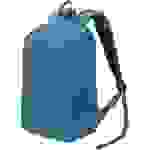 Dicota Notebook Rucksack DICOTA Eco Backpack Scale - Notebook-Ruc Passend für maximal: 39,6cm (15,6") Blau