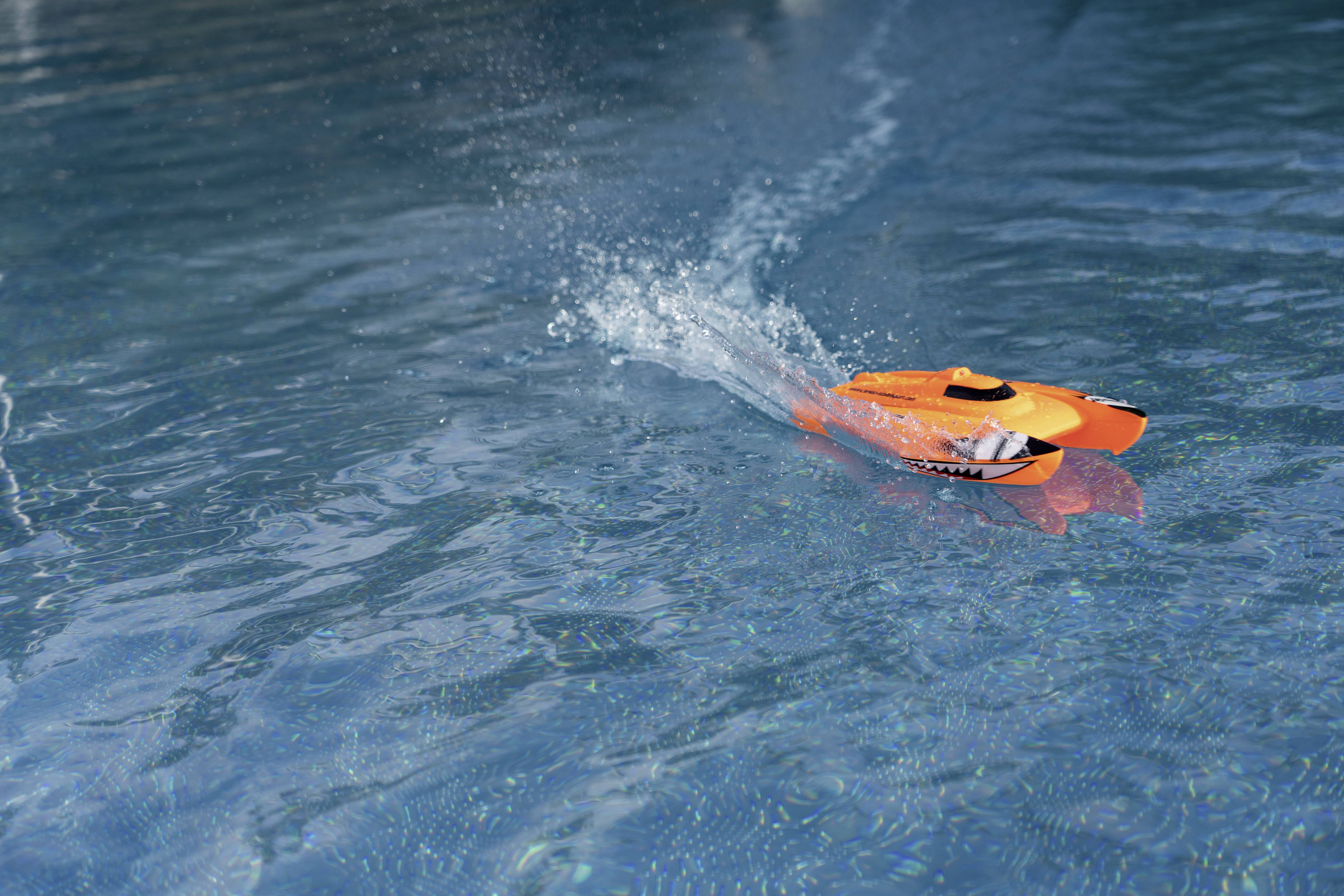 Carson Modellsport Race Shark FD RC Motorboot RtR 395mm