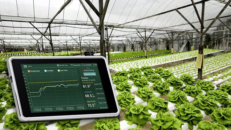 Extech RH550 Luftfeuchtemessgerät (Hygrometer) 10 % rF 95 % rF Datenloggerfunktion, Taupunkt-/Schim