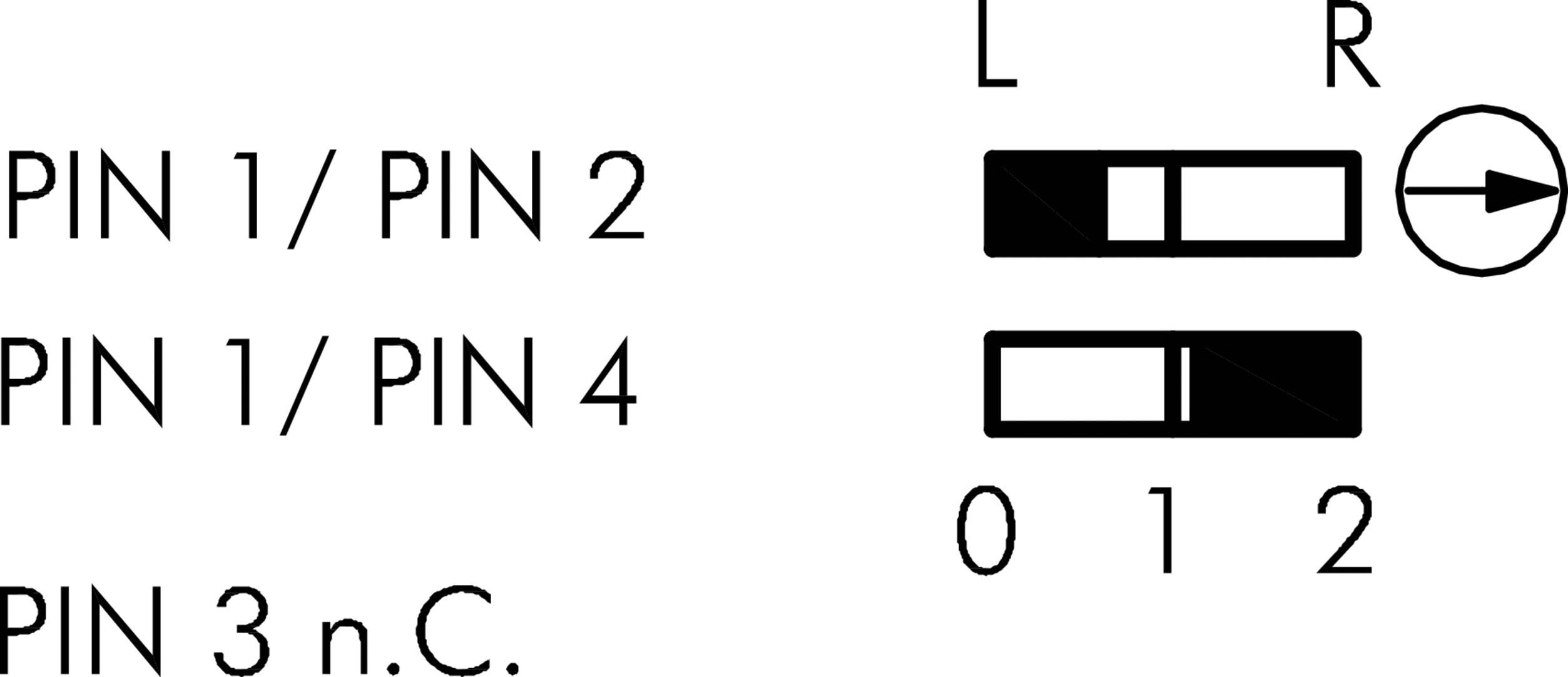 'PIN 1/PIN 2', 'PIN 1/PIN 4' zeigen Balken-Regler mit Werten von 0 bis 2, 'PIN 3 n.C.' mit Pfeilanzeige auf 'R'.