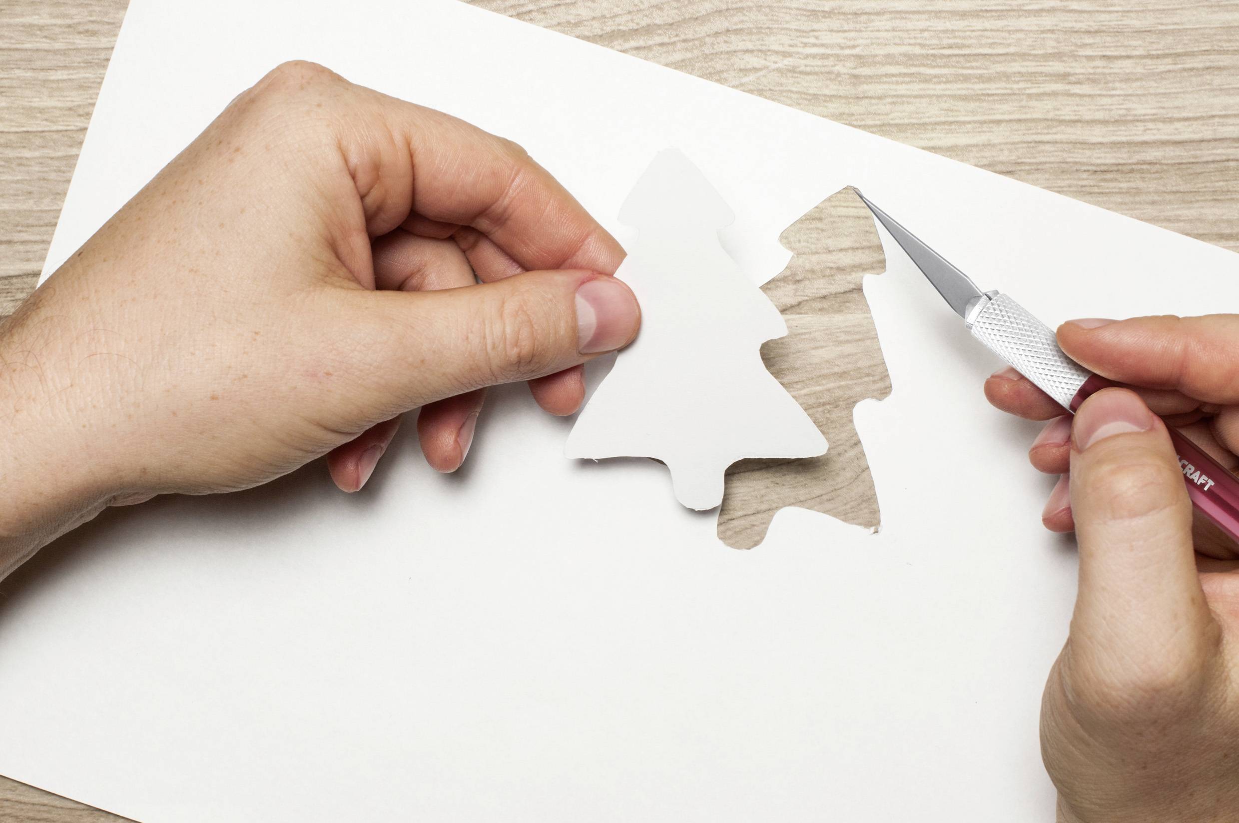 TOOLCRAFT Skalpell-Set 142mm 1St.