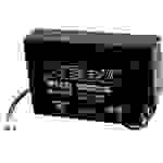 XCell XP0.812AMP XCEXP0.812AMP Batterie au plomb 12 V 0.8 Ah plomb (AGM) (l x H x P) 96 x 62 x 25 mm port AMP sans entretien
